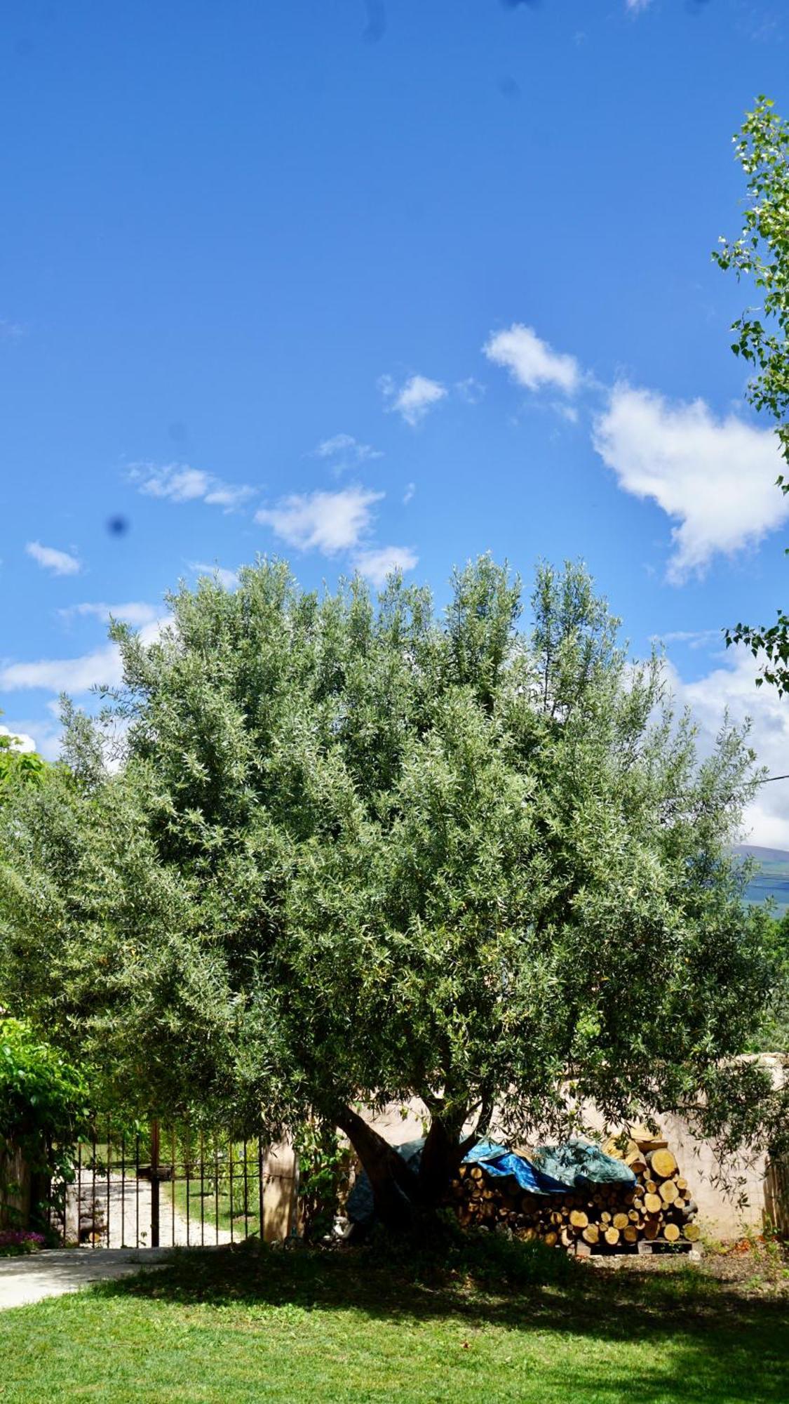 La Belle Histoire Gite Luberon Бедуэн Экстерьер фото